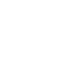 Ara